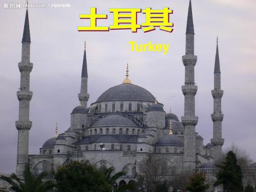 土耳其
