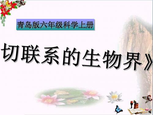 六年级科学上册密切联系的生物界说课ppt课件青岛版