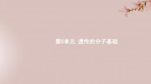 高考生物复习 第5单元 遗传的分子基础 15 DNA是主要的遗传物质课件 新人教版