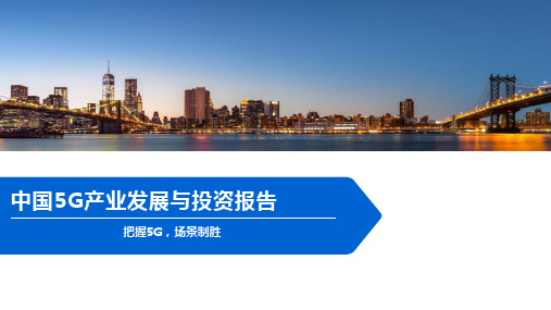 中国5G产业发展与投资报告