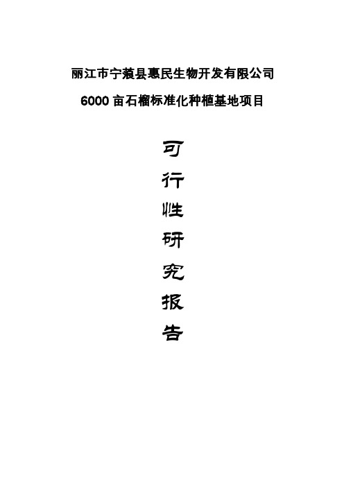 丽江市宁蒗县惠民生物开发有限公司6000亩石榴标准化种植基地项目可行性研究报告