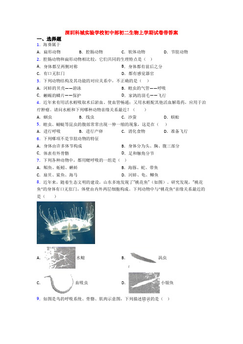 深圳科城实验学校初中部初二生物上学期试卷带答案