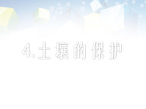 《土壤的保护》植物生活的土地 图文