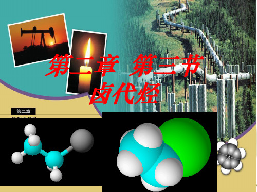 人教版化学选修五2.3卤代烃(第二课时)PPT下载