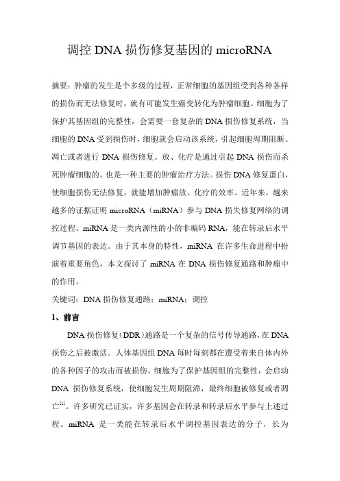 调控DNA损伤修复的miRNA