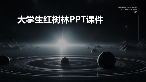 大学生红树林ppt课件