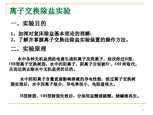 离子交换除盐实验