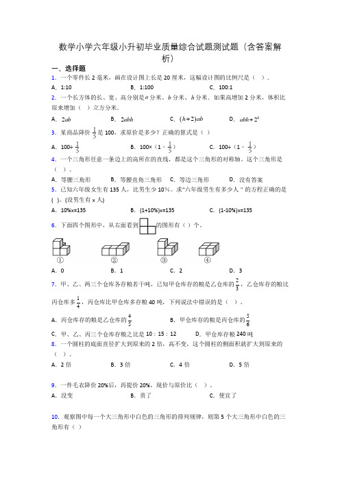 数学小学六年级小升初毕业质量综合试题测试题(含答案解析)