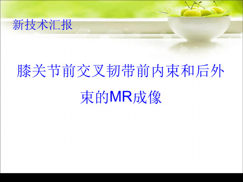膝关节前交叉韧带前内束和后外束的MR成像