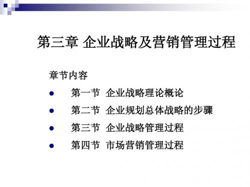 市场营销学 第三章 企业战略及营销管理过程