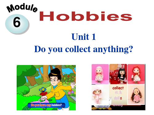 新外研版八下_Module_6_Hobbies_Unit_1_课件