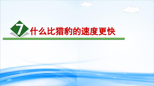 7.什么比猎豹的速度更快20192020学年同步教学课件人教(部编版) (共17张PPT)[优秀课件资料]