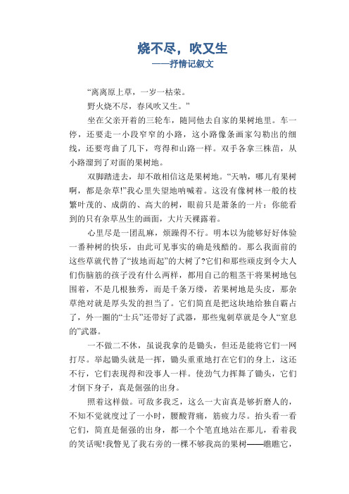 初中记事作文：烧不尽,吹又生_抒情记叙文