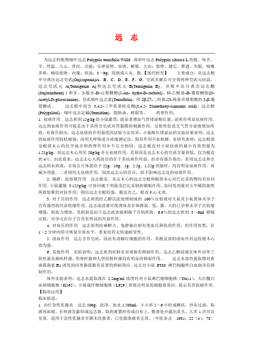 远 志