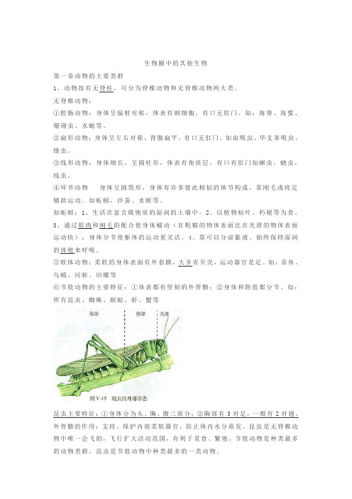 八年级上册期中复习资料