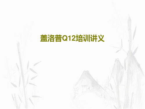 盖洛普Q12培训讲义37页PPT