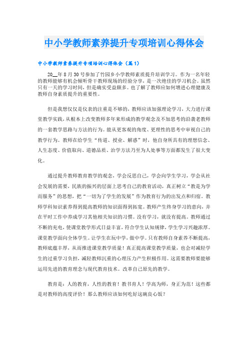 中小学教师素养提升专项培训心得体会