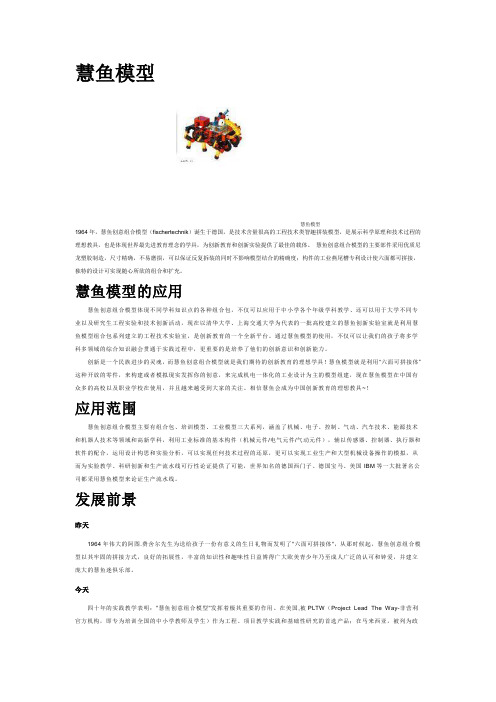 慧鱼模型