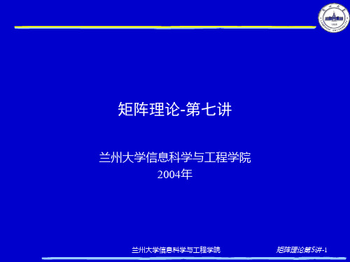 矩阵理论-第七讲