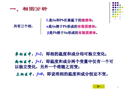 共晶相图2011