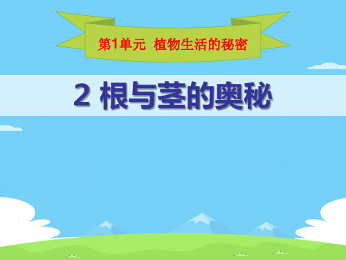《根与径的奥秘》植物生活的秘密PPT课件【精选推荐下载】