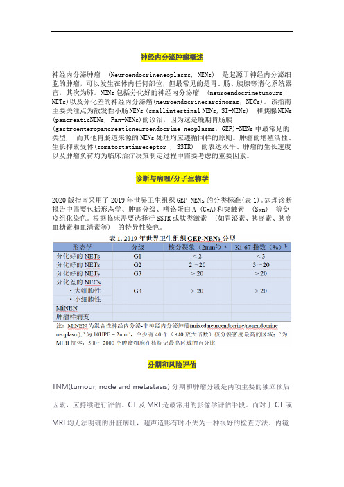 神经内分泌肿瘤概述和治疗