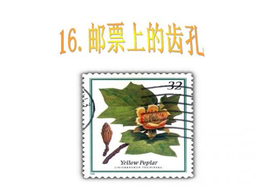 16.邮票上的齿孔