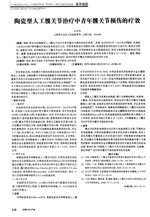 陶瓷型人工髋关节治疗中青年髋关节损伤的疗效