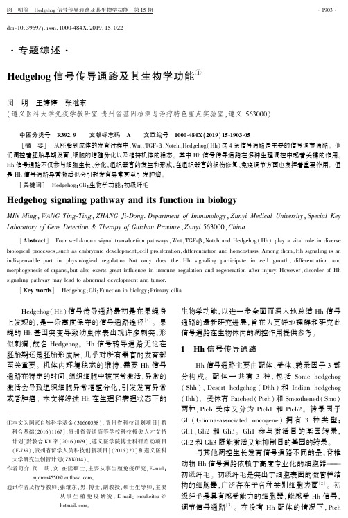 Hedgehog信号传导通路及其生物学功能