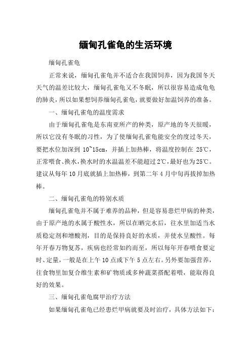 缅甸孔雀龟的生活环境