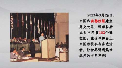 八年级历史下册教学课件《独立自主的和平外交》
