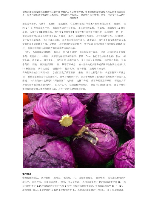 桑葚紫甘蓝枸杞护眼功能饮料配方技术的研制