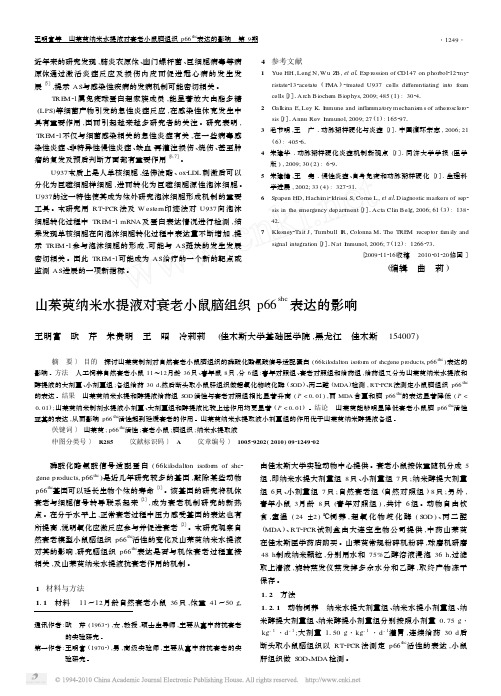 山茱萸纳米水提液