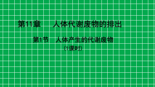北师大版七年级生物下册《  第十一章 人体代谢废物的排出  第1节 人体产生的代谢废物》公开课课件_3