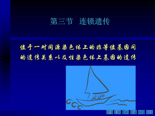 第二章 连锁遗传规律 PPT课件