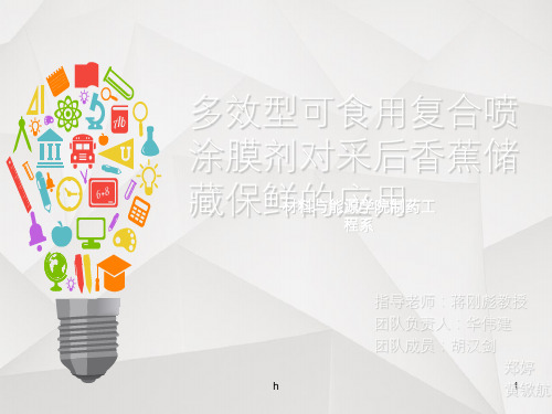 大创答辩PPT简易版