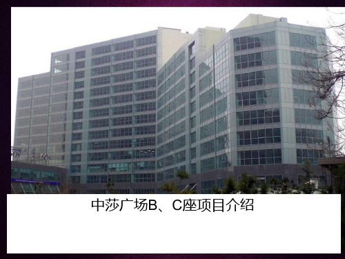 soho楼盘项目介绍PPT课件