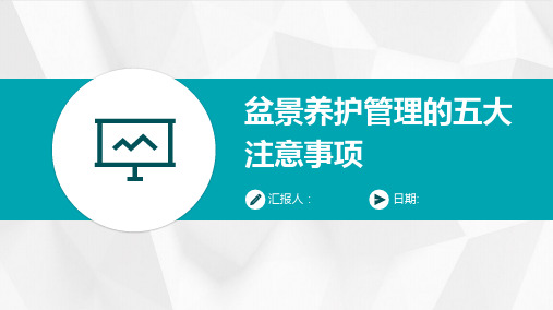 盆景养护管理的五大注意事项