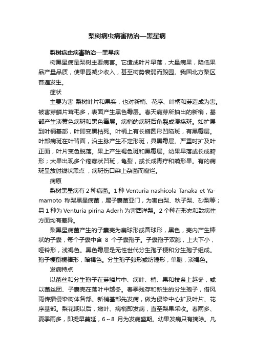 梨树病虫病害防治—黑星病