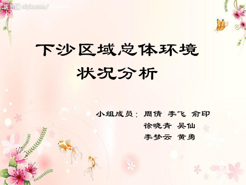 下沙环境调查