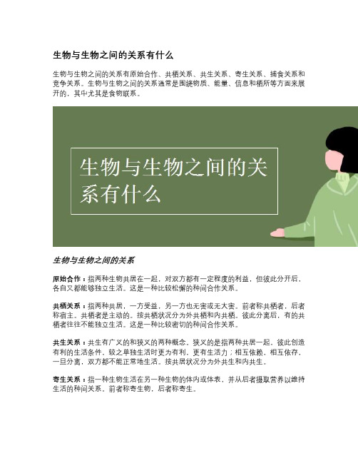 生物与生物之间的关系有什么