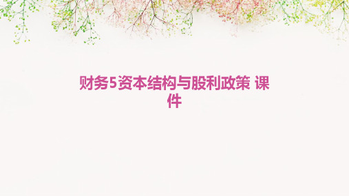 财务5资本结构与股利政策 课件