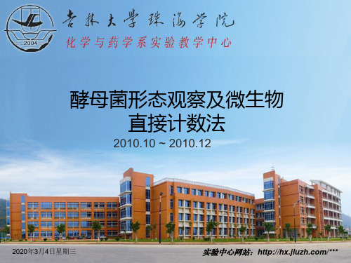 实验四：酵母菌形态观察及计数