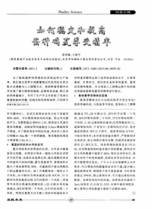 如何稳定和提高蛋种鸡夏季受精率