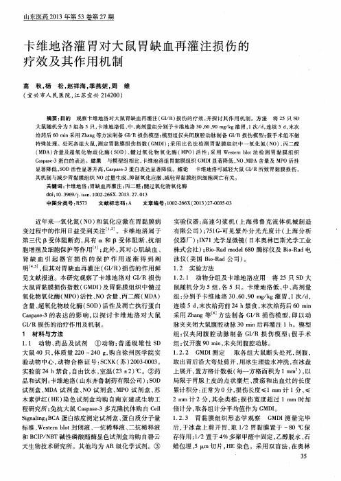 卡维地洛灌胃对大鼠胃缺血再灌注损伤的疗效及其作用机制