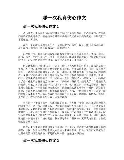 那一次我真伤心作文