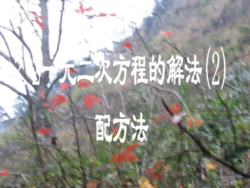 一元二次方程的解法(2)[下学期]--浙教版1-P