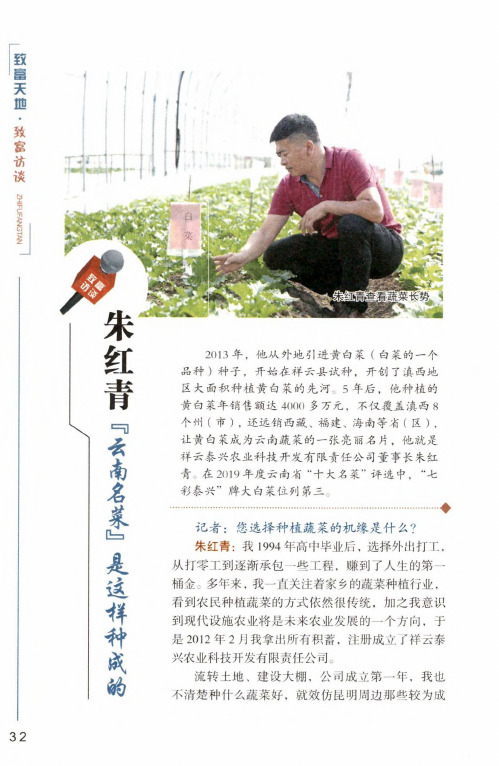 朱红青 “云南名菜”是这样种成的