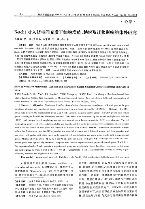 Notehl对人脐带问充质干细胞增殖、黏附及迁移影响的体外研究