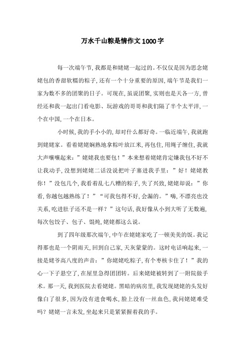 万水千山粽是情作文1000字